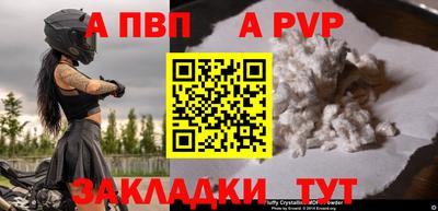 шишки Кандалакша