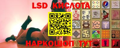 СК Камышлов