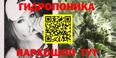 СК Камышлов