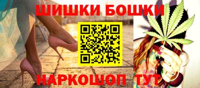 шишки Кандалакша