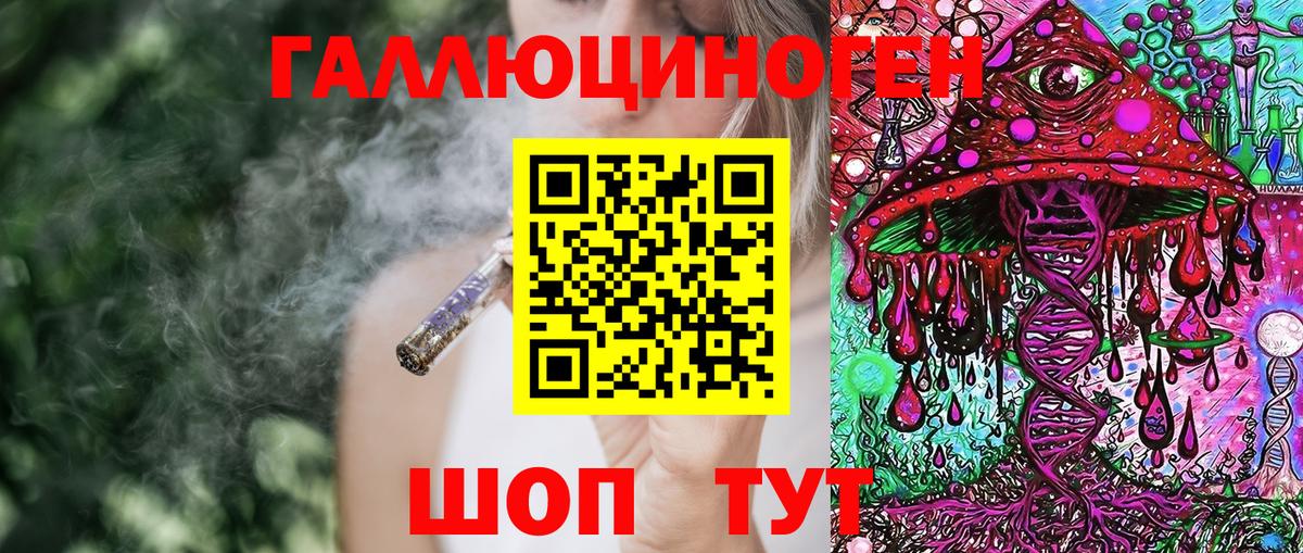 Псилоцибиновые грибы Psilocybe Кумертау