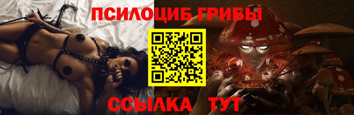 Кумертау  где можно купить   Вход с VPN  Псилоцибиновые грибы ЛСД 
